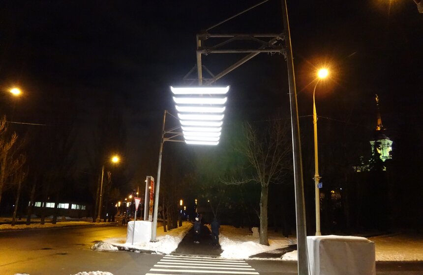 Воздушная зебра на ВДНХ 8 фото