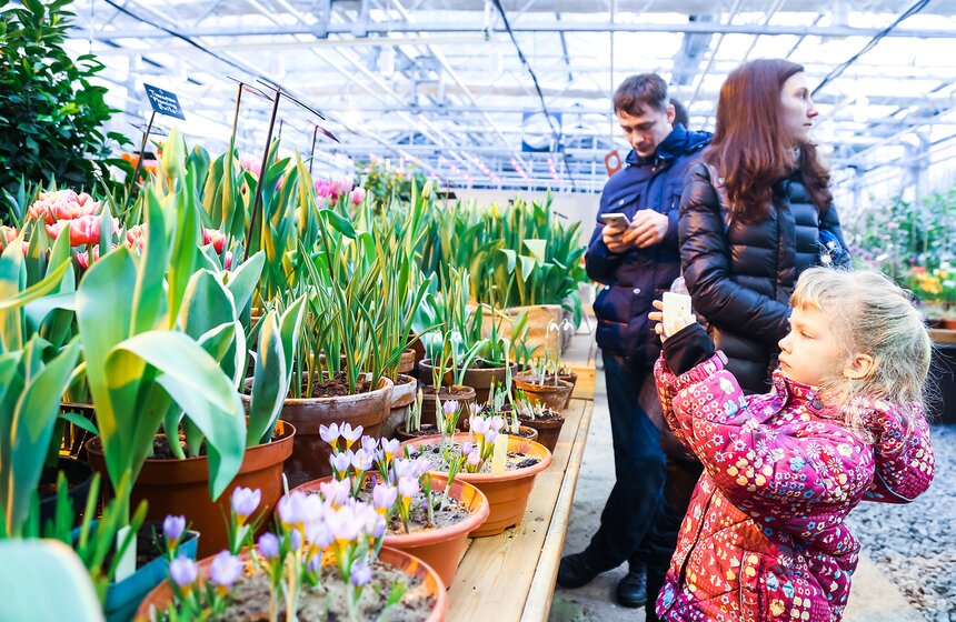 "Репетиция весны" в "Аптекарском огороде" 28 фото