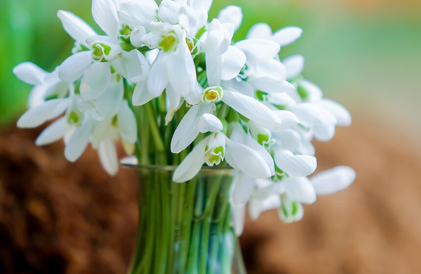 "Репетиция весны" в "Аптекарском огороде" 3 фото