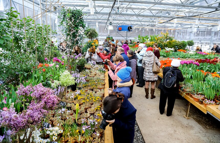 "Репетиция весны" в "Аптекарском огороде" 10 фото