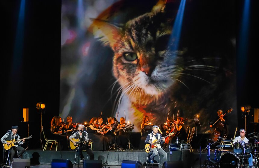 Группа "Чайф" отыграла традиционный концерт "Зимняя акустика" 17 фото