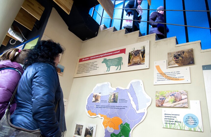 В Московском зоопарке открылся Музей слонов 15 фото