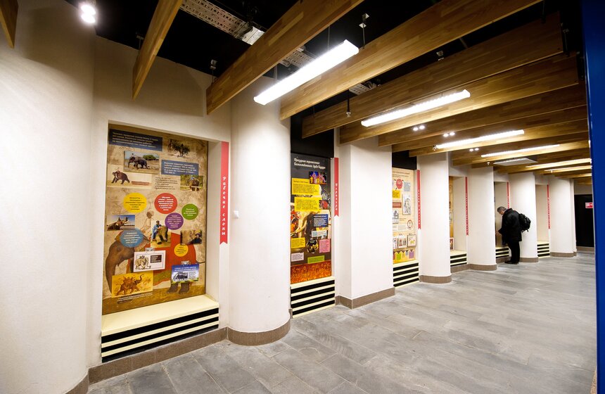 В Московском зоопарке открылся Музей слонов 19 фото