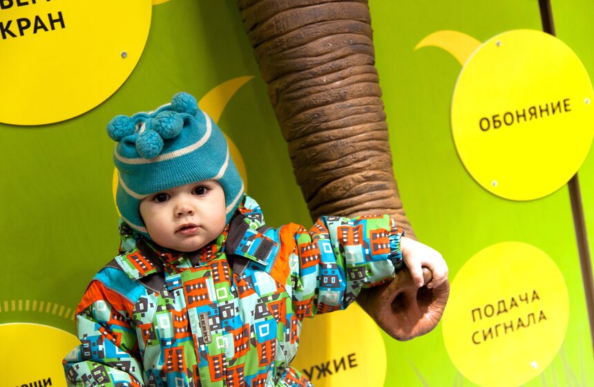 В Московском зоопарке открылся Музей слонов 21 фото