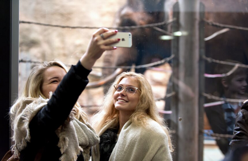 В Московском зоопарке открылся Музей слонов 9 фото