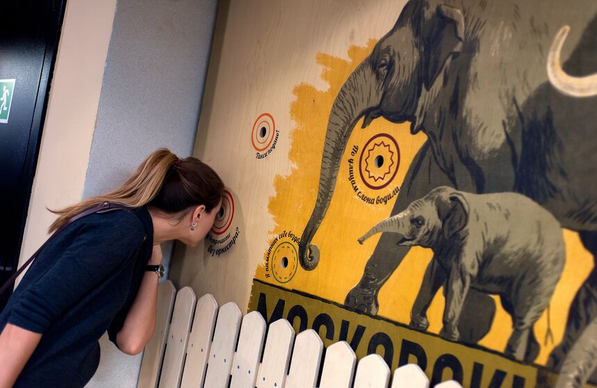 В Московском зоопарке открылся Музей слонов 4 фото