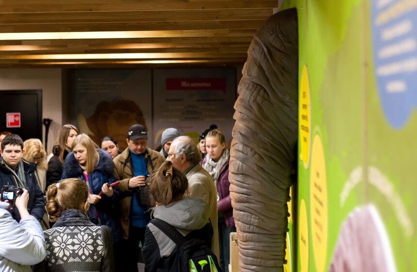 В Московском зоопарке открылся Музей слонов 3 фото