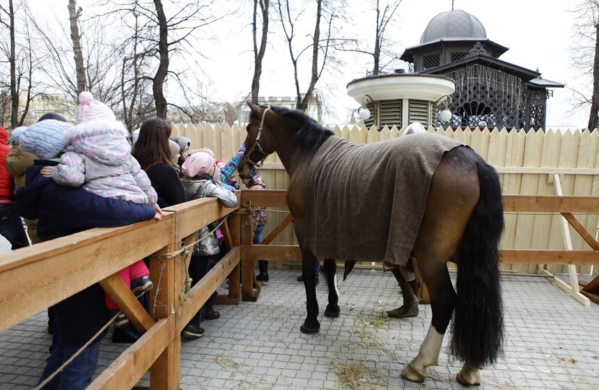В "Эрмитаже" попытались приготовить самый большой в мире блин 20 фото