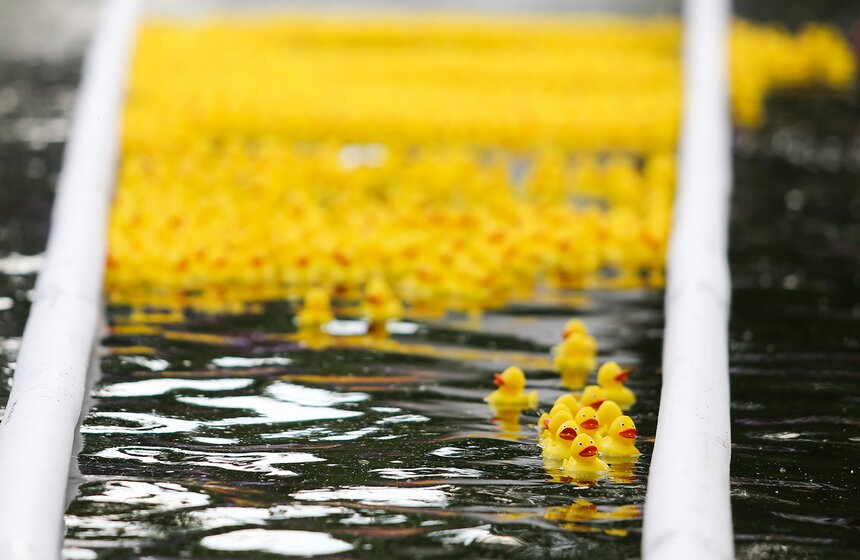 Утиный заплыв в Воронцовском парке 17 фото