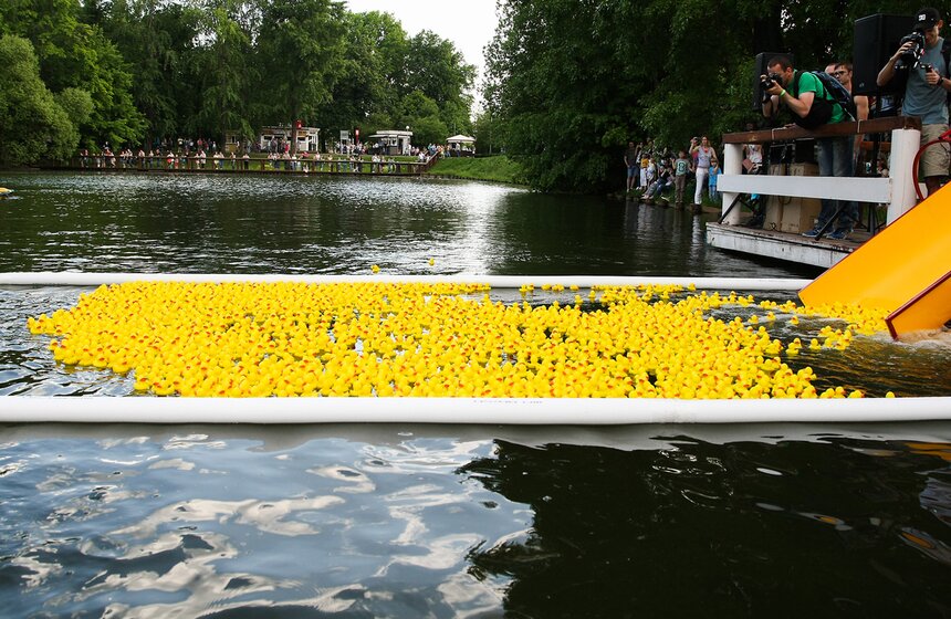 Утиный заплыв в Воронцовском парке 10 фото