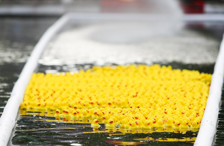 Утиный заплыв в Воронцовском парке 15 фото