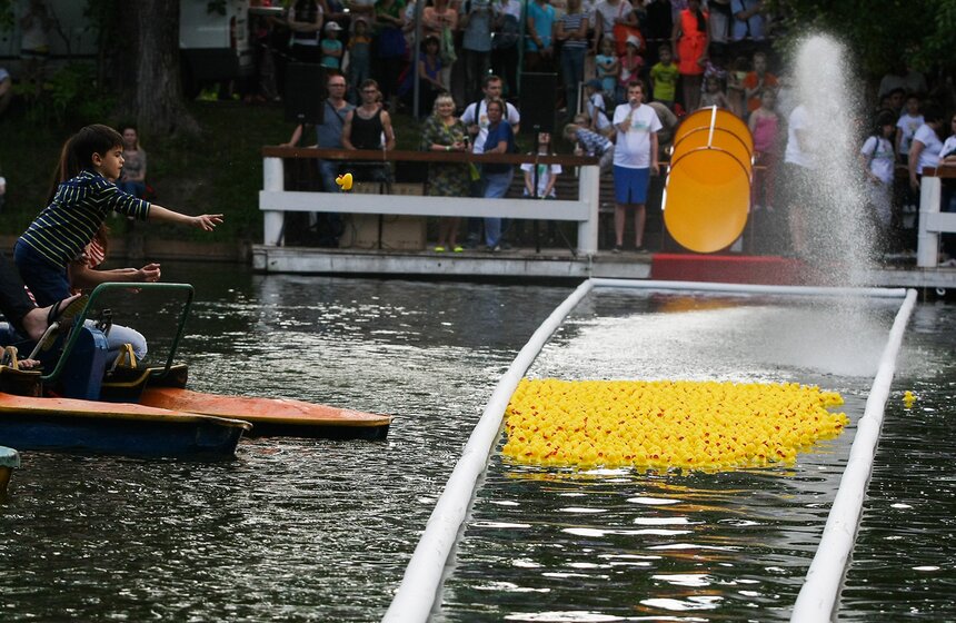 Утиный заплыв в Воронцовском парке 14 фото