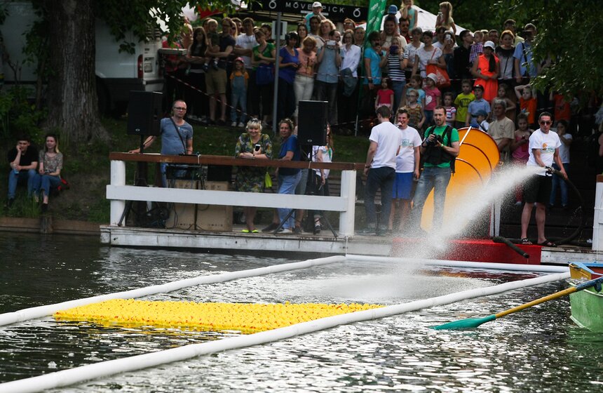 Утиный заплыв в Воронцовском парке 13 фото