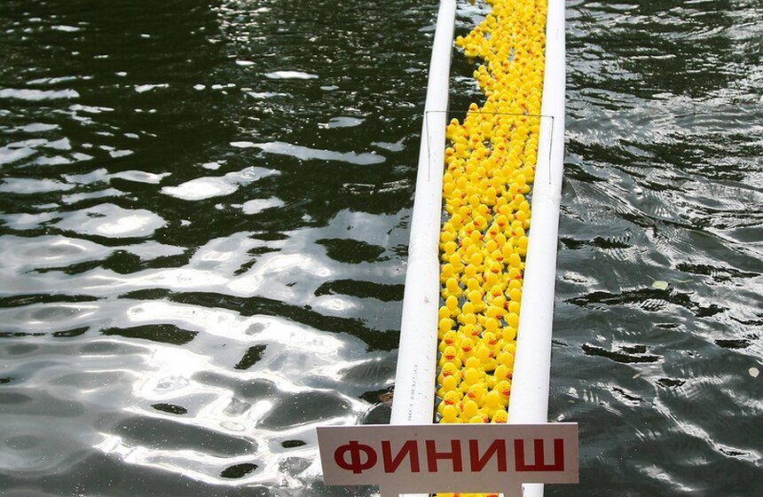 Утиный заплыв в Воронцовском парке 19 фото