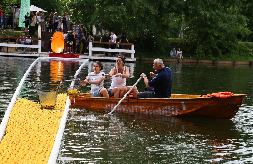 Утиный заплыв в Воронцовском парке 22 фото