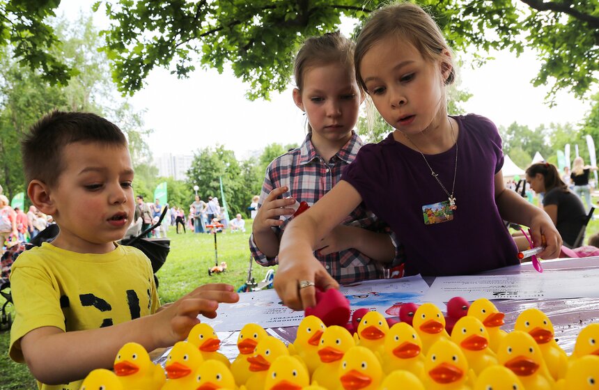 Утиный заплыв в Воронцовском парке 8 фото