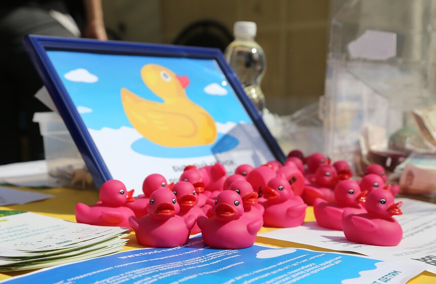 Утиный заплыв в Воронцовском парке 1 фото