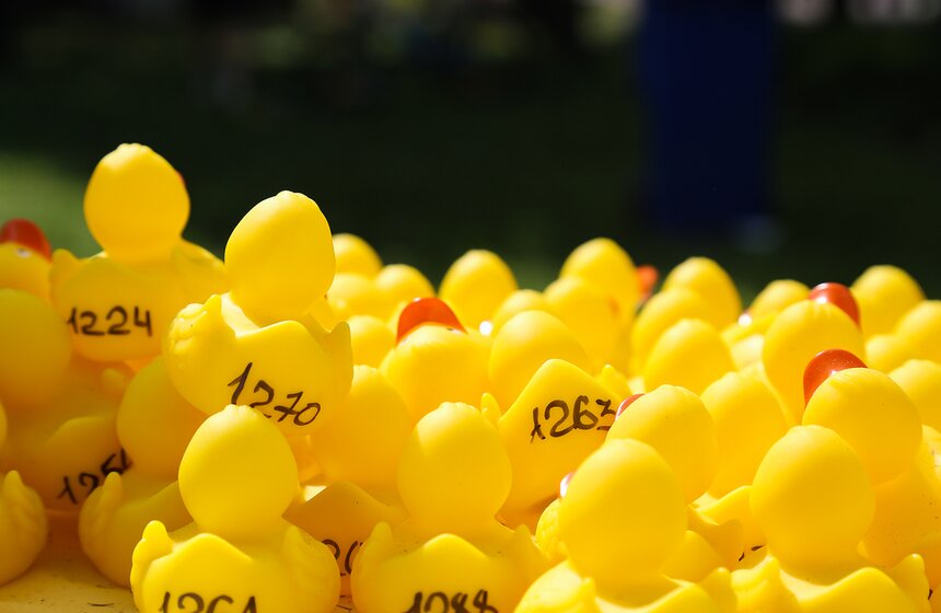 Утиный заплыв в Воронцовском парке 4 фото