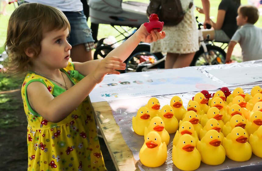 Утиный заплыв в Воронцовском парке 6 фото