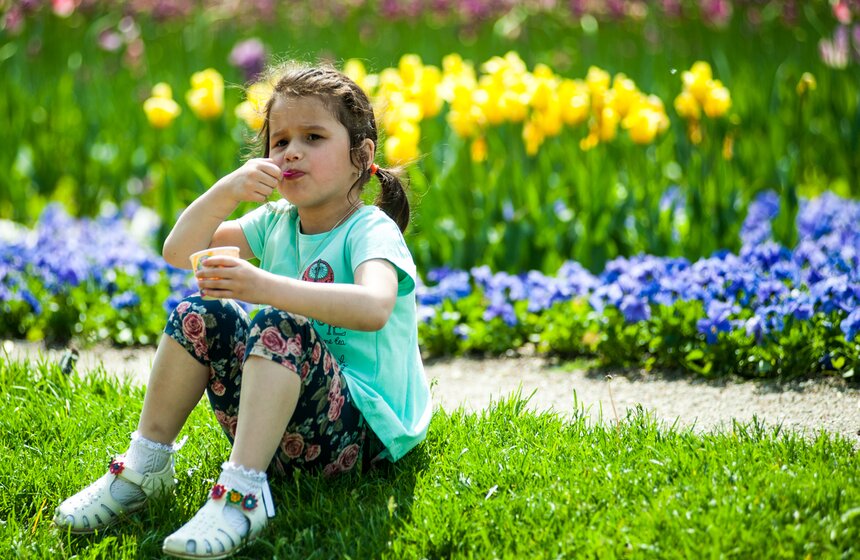 Городской праздник мороженого в Сокольниках 23 фото