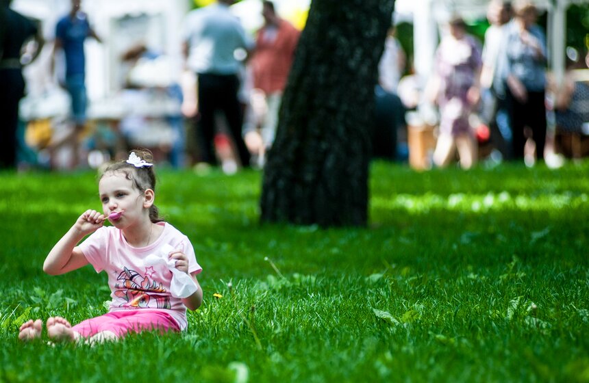Городской праздник мороженого в Сокольниках 15 фото
