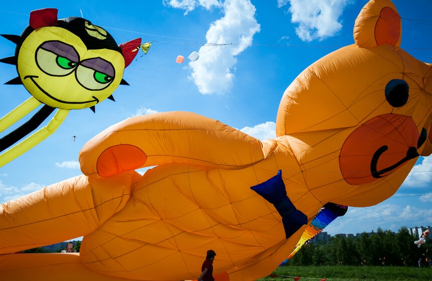Фестиваль воздушных змеев "Пестрое небо" 11 фото