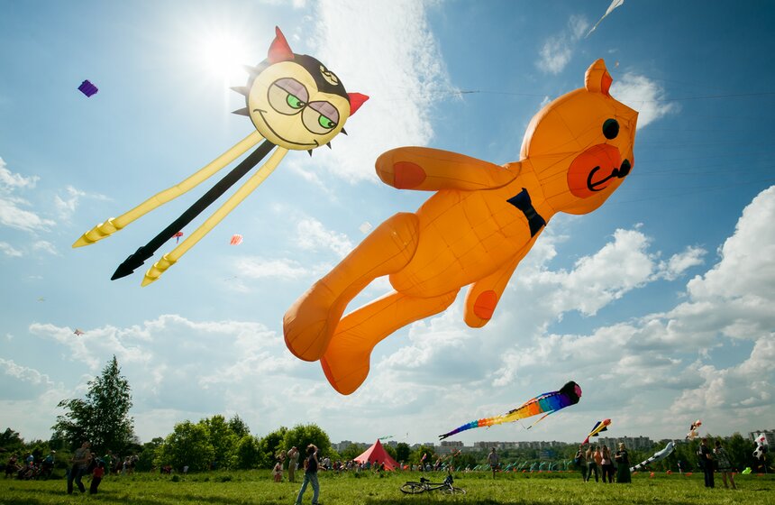 Фестиваль воздушных змеев "Пестрое небо" 22 фото