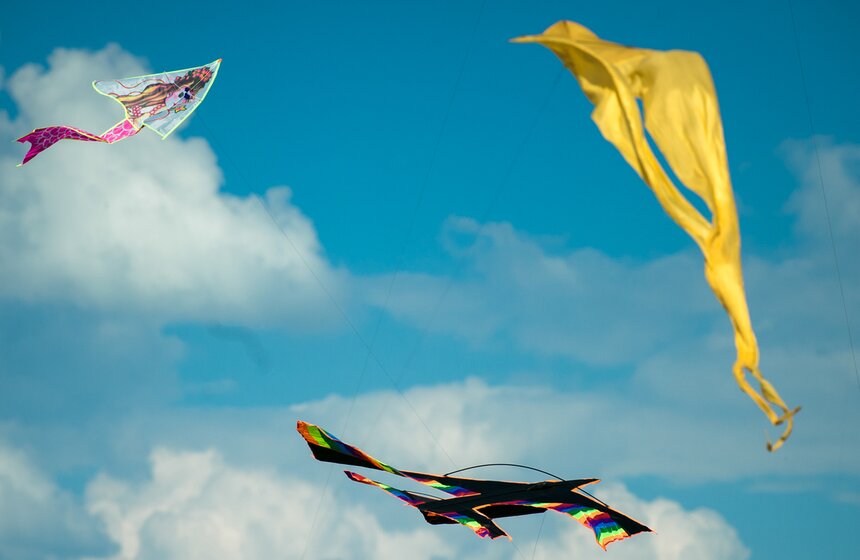 Фестиваль воздушных змеев "Пестрое небо" 17 фото