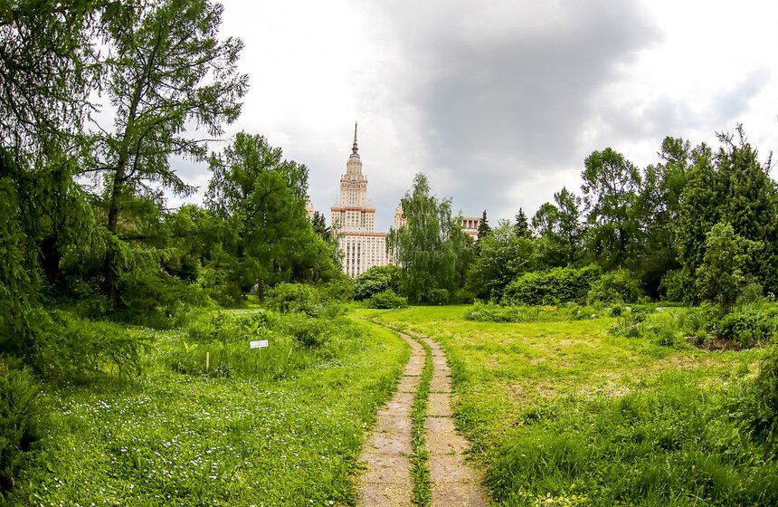Фотопрогулка по Ботаническому саду Биологического факультета МГУ 1 фото