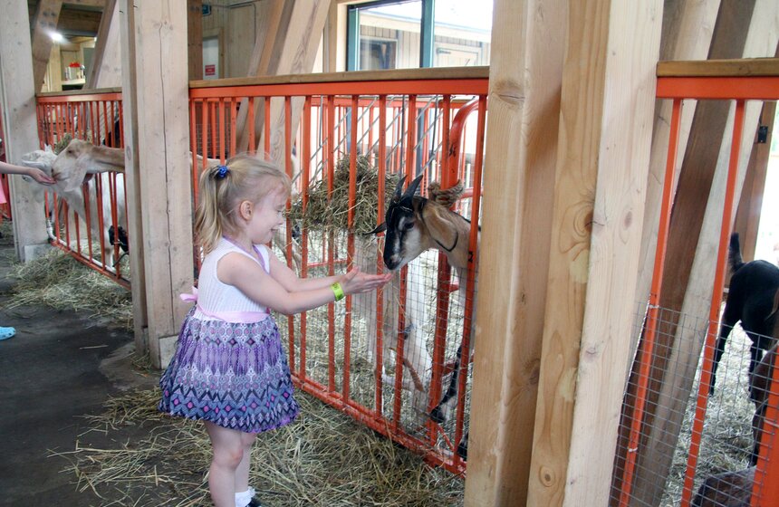 Открытие "Парка ремесел" на ВДНХ 25 фото