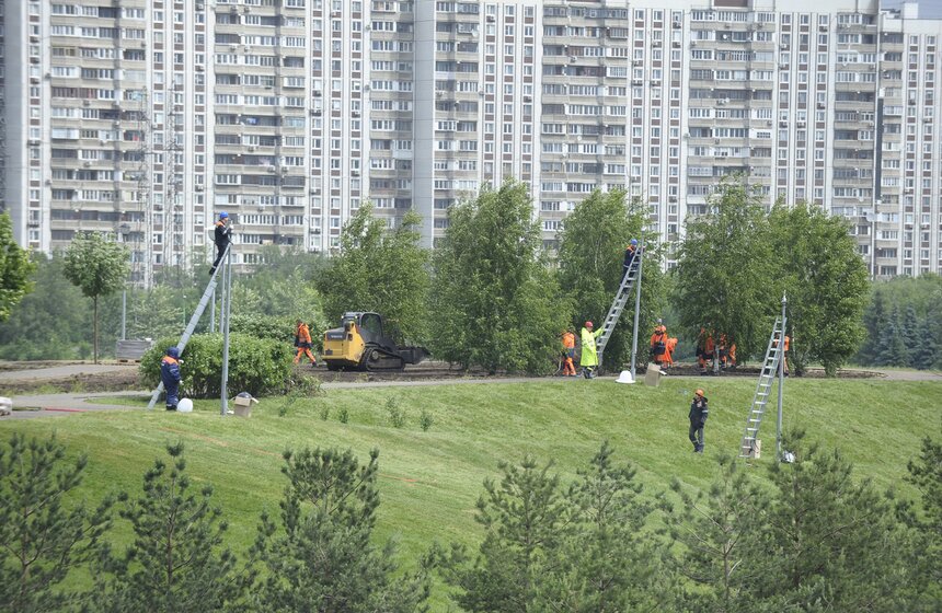 Мэр осмотрел работы по благоустройству Братеевского парка 18 фото