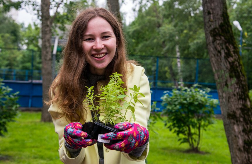 Дача в большом городе: m24.ru высадили базилик и мелиссу 22 фото