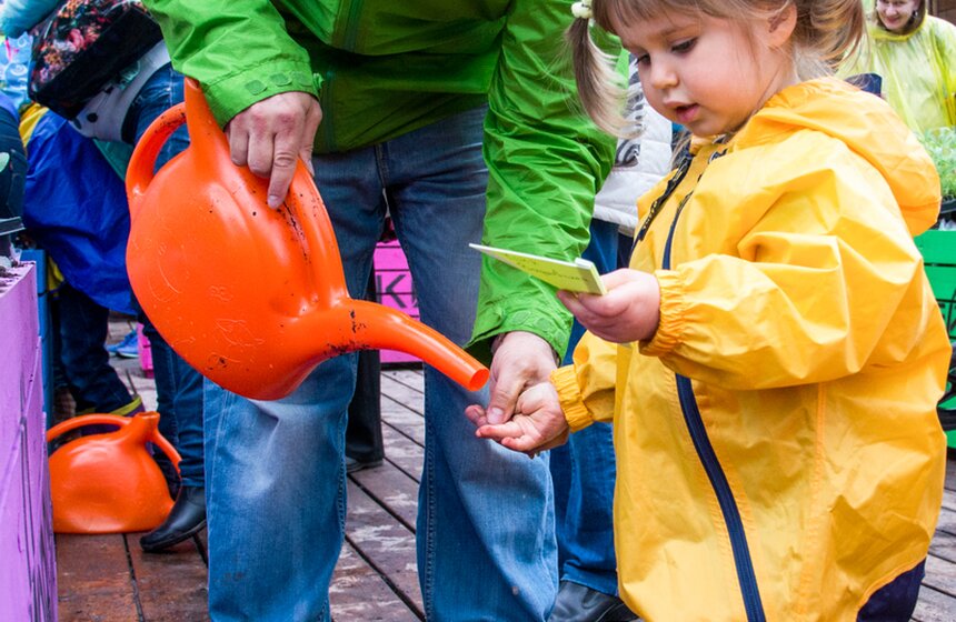 Дача в большом городе: m24.ru высадили базилик и мелиссу 18 фото