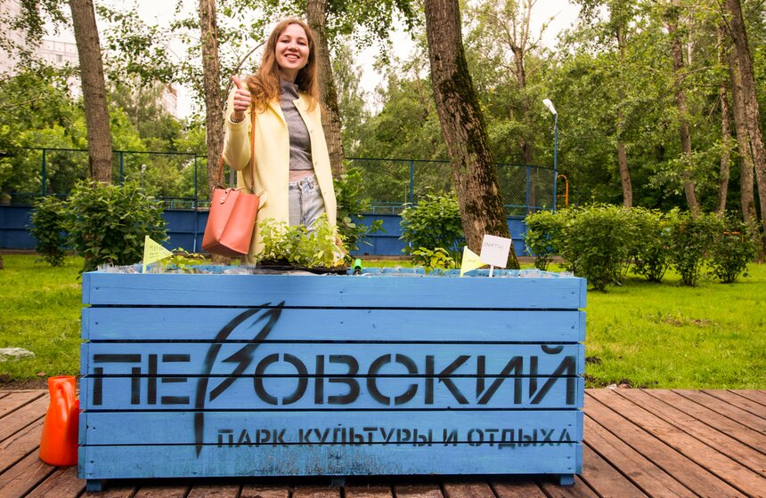 Дача в большом городе: m24.ru высадили базилик и мелиссу 27 фото