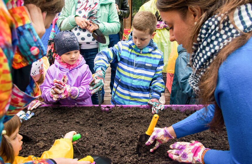 Дача в большом городе: m24.ru высадили базилик и мелиссу 10 фото
