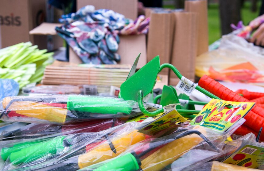 Дача в большом городе: m24.ru высадили базилик и мелиссу 7 фото