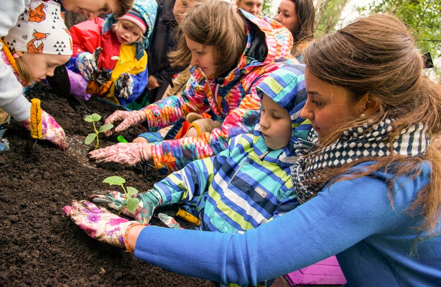 Дача в большом городе: m24.ru высадили базилик и мелиссу 16 фото