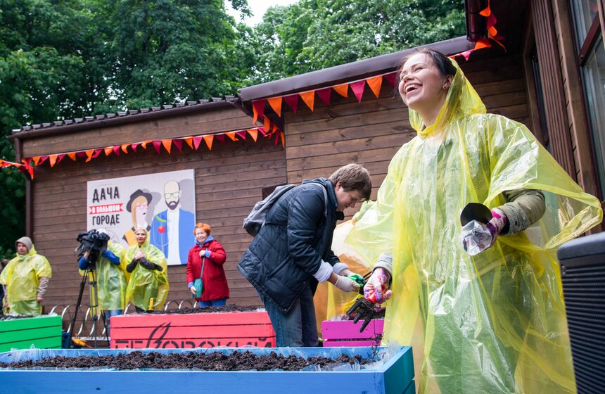 Дача в большом городе: m24.ru высадили базилик и мелиссу 15 фото