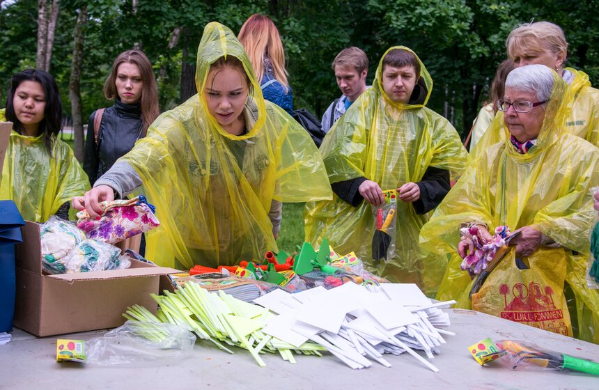 Дача в большом городе: m24.ru высадили базилик и мелиссу 6 фото