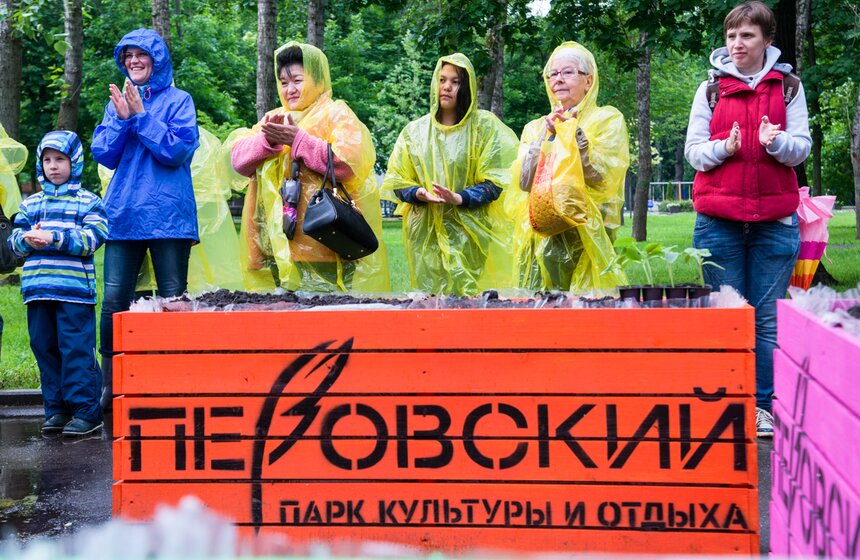 Дача в большом городе: m24.ru высадили базилик и мелиссу 2 фото