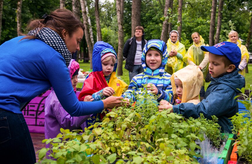 Дача в большом городе: m24.ru высадили базилик и мелиссу 5 фото