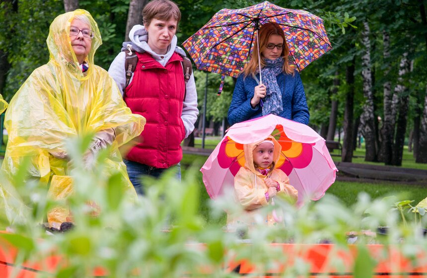 Дача в большом городе: m24.ru высадили базилик и мелиссу 4 фото