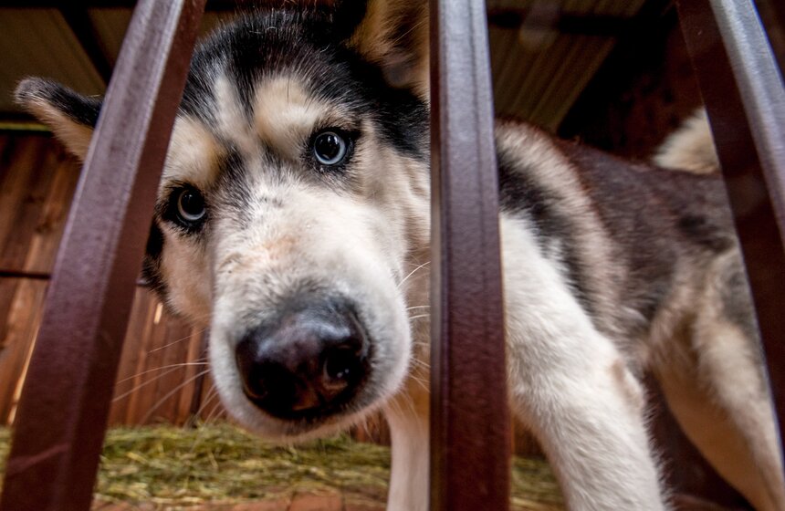 В Крылатском открылся парк волшебства и отдыха SKAZKA 15 фото
