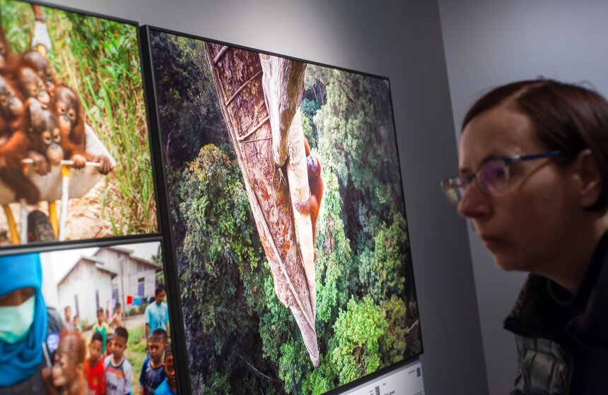 World Press Photo: Фестиваль современной фотографии на ВДНХ 2 фото