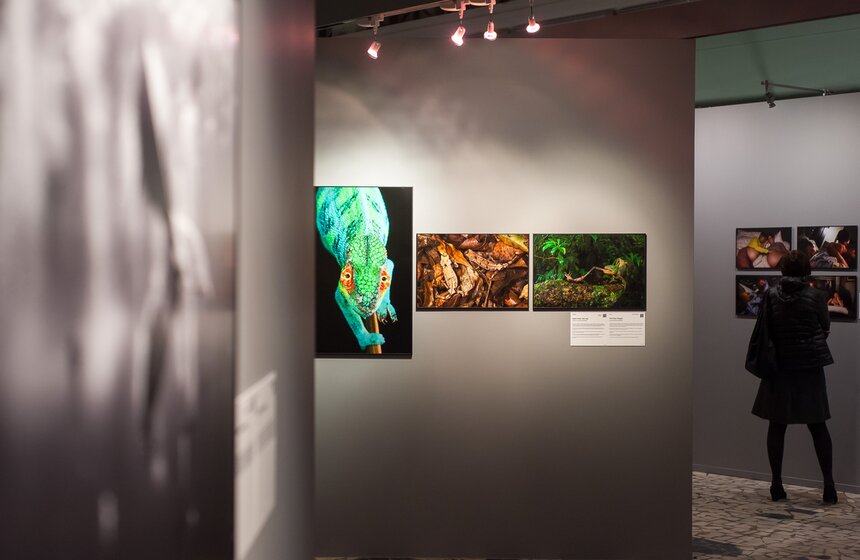 World Press Photo: Фестиваль современной фотографии на ВДНХ 5 фото