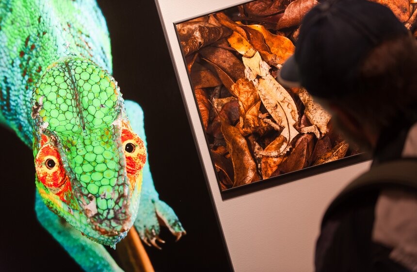 World Press Photo: Фестиваль современной фотографии на ВДНХ 11 фото