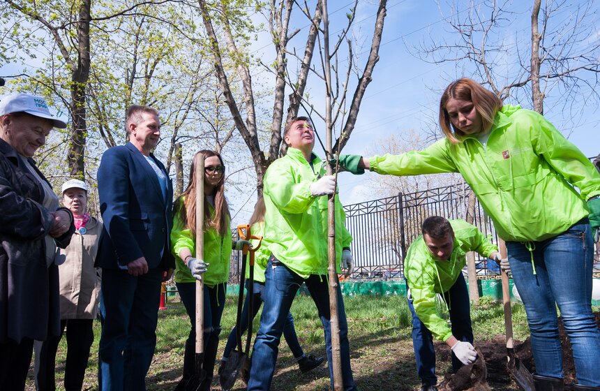 Антон Кульбачевский вместе с ветеранами высадили деревья 13 фото