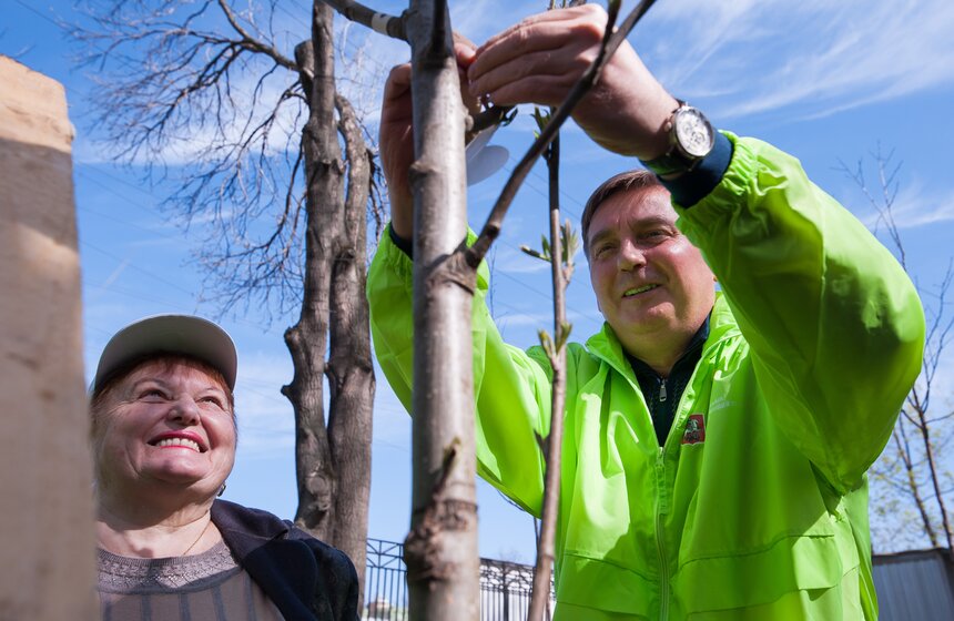 Антон Кульбачевский вместе с ветеранами высадили деревья 15 фото