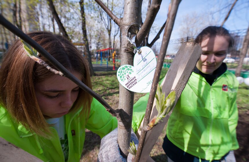 Антон Кульбачевский вместе с ветеранами высадили деревья 17 фото
