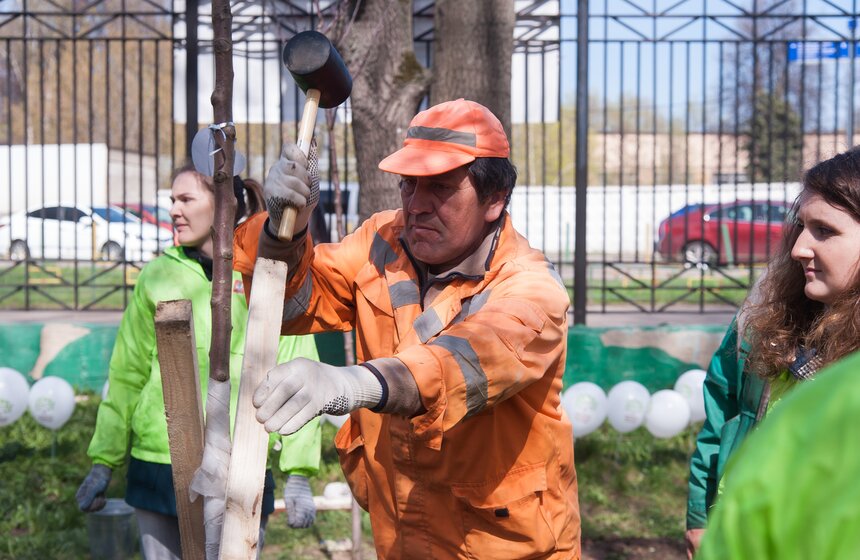 Антон Кульбачевский вместе с ветеранами высадили деревья 18 фото